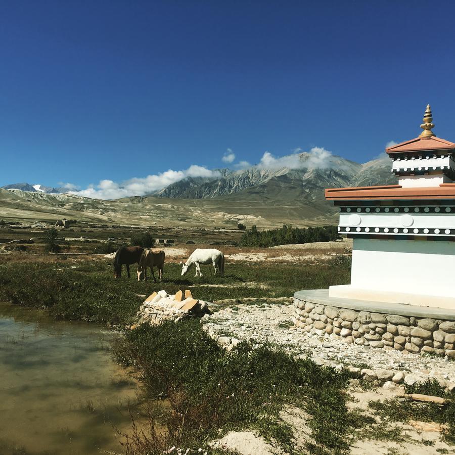 Royal Mustang Resort Nāmbo Exterior foto